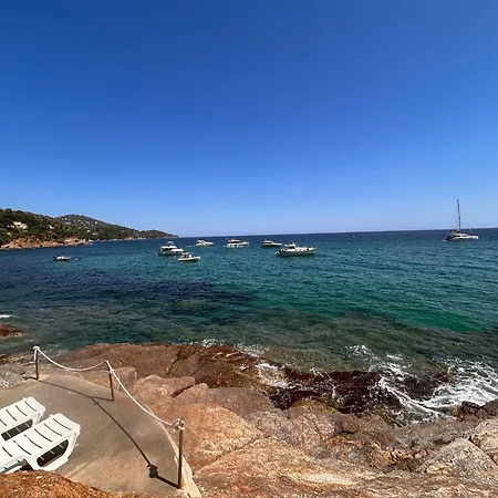 Belle Vue Mer, A Pied, Terrasse, Jardin - Pramousquier Daire